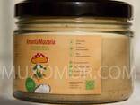 Αλοιφή Amanita σε λάδι καρύδας 540 ml / Мухоморна мазь на кокосовій олії 540 мл - photo 2