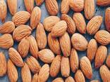 Sweet Almonds Nuts At Factory Price Almond Nuts