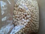 Best Quality Macadamia Nut Best Quality Macadamia Nut