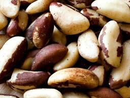 Brazil Nut Kernel, Raw Brazil Nuts, Brazilnut, Organic Brazil Nuts