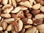 Brazil Nut Kernel, Raw Brazil Nuts, Brazilnut, Organic Brazil Nuts