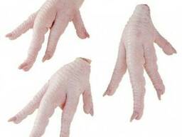 Chicken Feet / Paws
