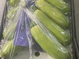Цукини - фото 3
