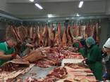 Export of meat - photo 2