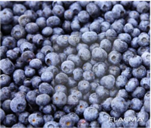 Frozen berries and fruits, berry-fruit mixes, and compote mixes.