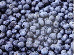 Frozen berries and fruits, berry-fruit mixes, and compote mixes.