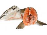 Frozen salmon - photo 1