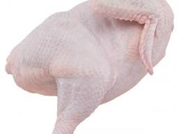 Halal Frozen Whole chicken