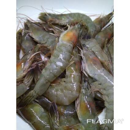 Healthy Seafood Vannamei Shrimp for Sale