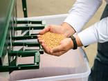 Αεροδυναμικό ISM-5 διαχωριστή κόκκων grain separator - photo 7