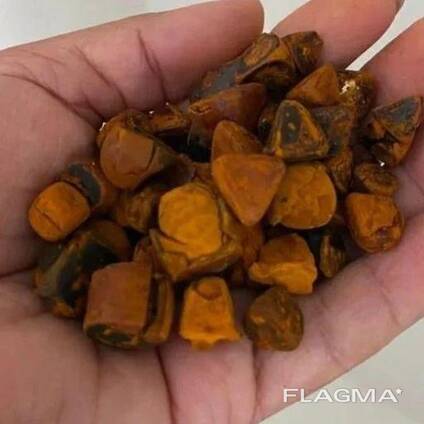 Natural Cattle/Ox Gallstones