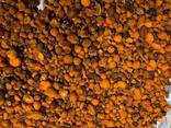 Natural Cattle/Ox Gallstones - фото 3