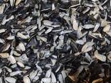 Пеллеты из лузги подсолнечной в гранулах 8 мм - фото 5