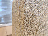 PINE NUTS Sibirica 950, 12,5 kg box &amp; vacuum