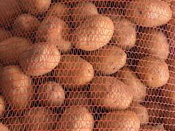 Potatoes Greece Neurokopi