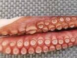 Предлагаем мороженные морепродукты в Грецию от завода из Китая - photo 1
