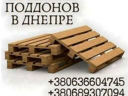 Продаж європіддонів Дніпро.