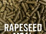 Rapeseed Oil Meal - фото 1