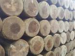 Rounded pine pillars, fences, palisades - фото 11