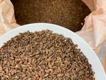 Солод ржаной сухой ферментированный. - фото 1