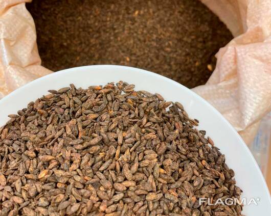 Солод ржаной сухой ферментированный.