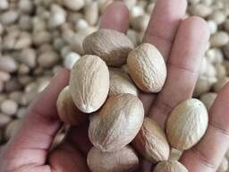 Sweet Almonds Nuts At Factory Price Almond Nuts