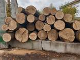 Unedged oak lumber - photo 1