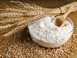 Wheat Flour Туре 450/550/650