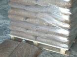 Wood Pellet Vietnam packaging Pine Wood Pellets (Din plus / EN plus Wood Pellets A1 ) read - photo 5